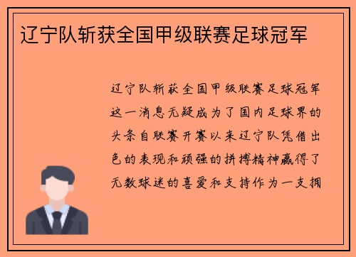 辽宁队斩获全国甲级联赛足球冠军