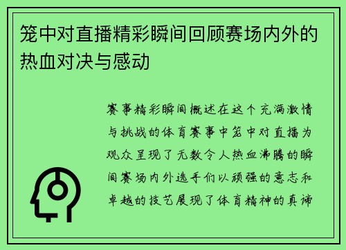 笼中对直播精彩瞬间回顾赛场内外的热血对决与感动